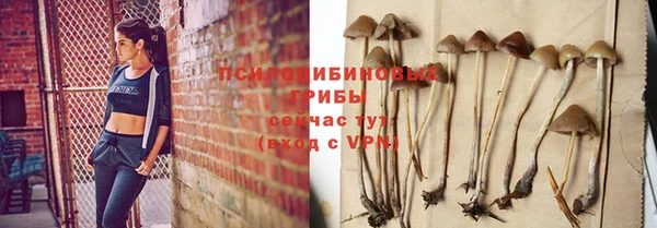 2c-b Лихославль